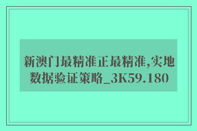 新澳门最精准正最精准,实地数据验证策略_3K59.180