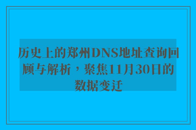 历史上的郑州DNS地址查询回顾与解析，聚焦11月30日的数据变迁